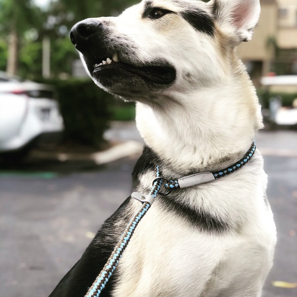 Meet your Posher, Matt - Picture 1 of 1